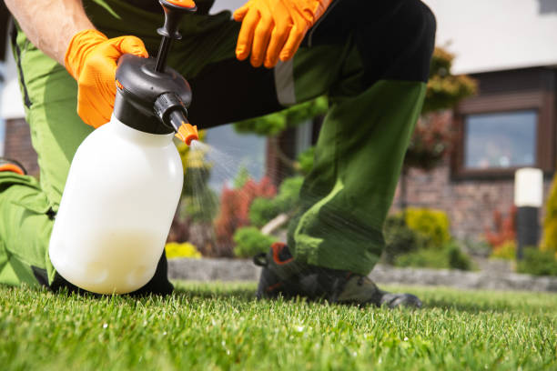 Best Pest Prevention Services  in Holland, OH