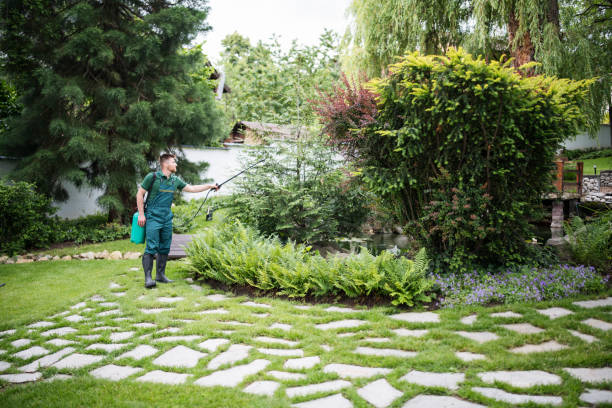 Best Affordable Pest Control Services  in Holland, OH