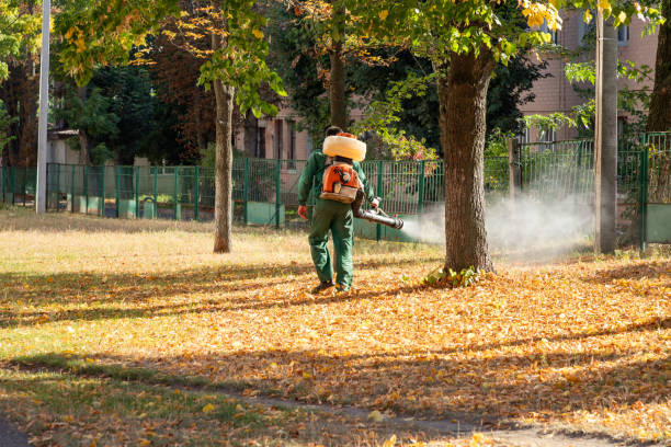 Professional Pest Control in Holland, OH